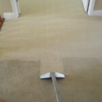 Clean Carpets