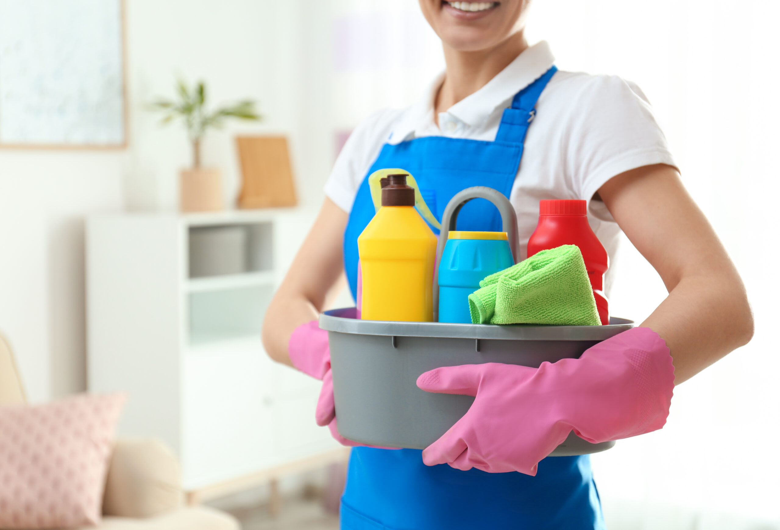 Professional Housekeeping Cleaning Services