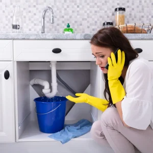 Common Plumbing Problems in Residential Homes Common Plumbing Problems