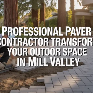Professional Paver Contractor