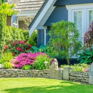 Landscape Design