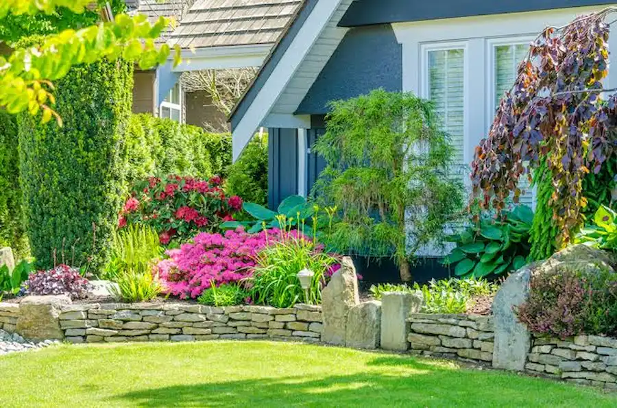 Landscape Design